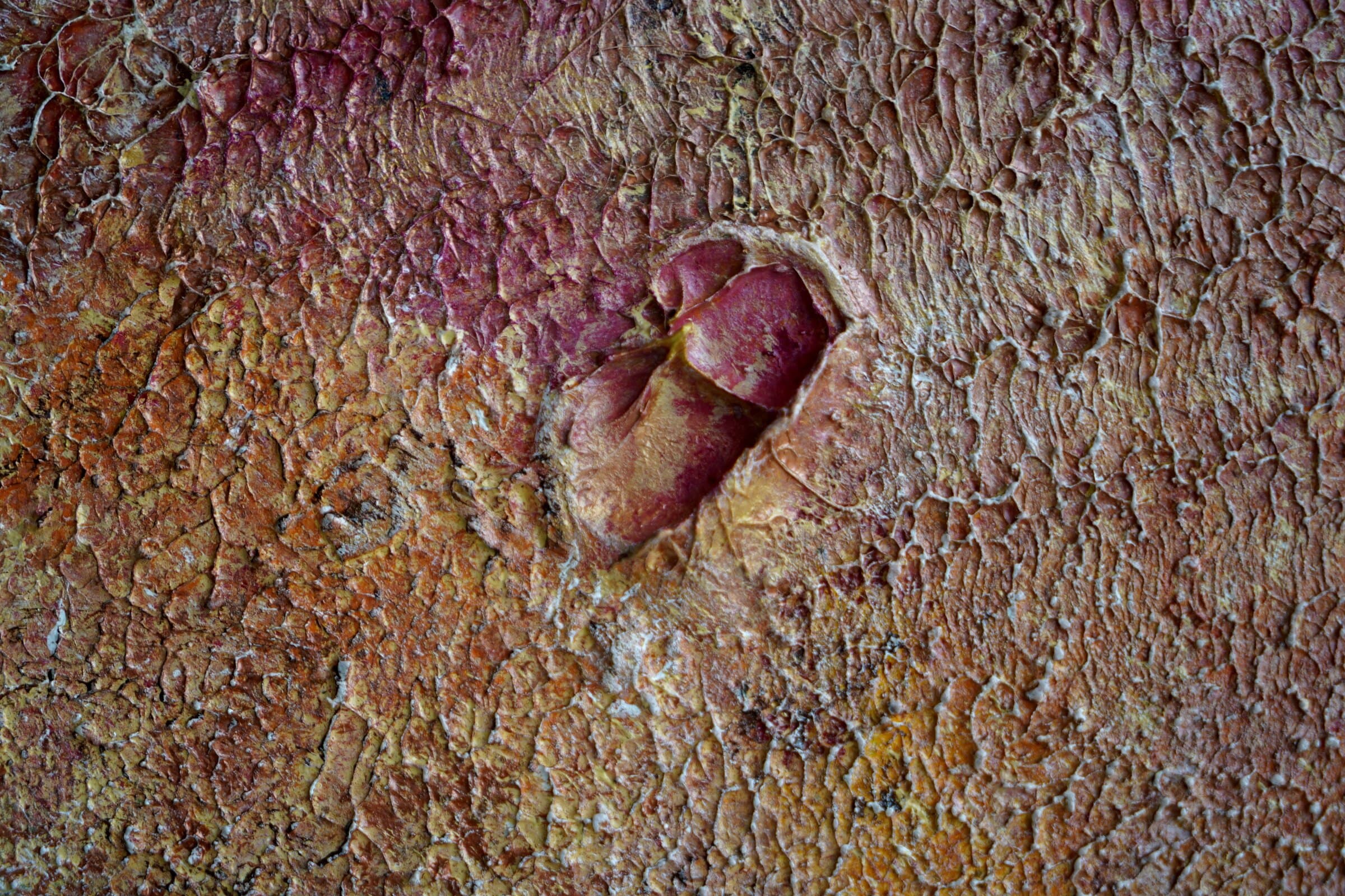 Autumn, material detail